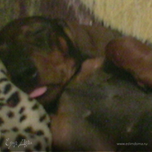 Фотография профиля