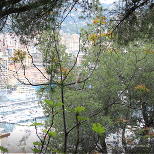 Фотография профиля