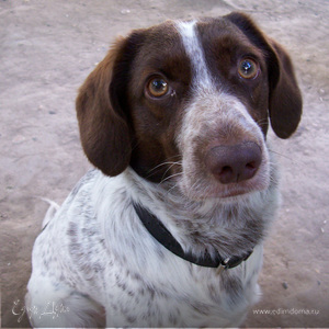 Фотография профиля