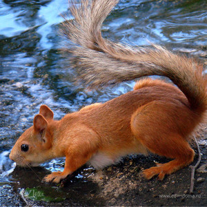 Фотография профиля