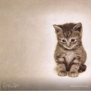 Фотография профиля