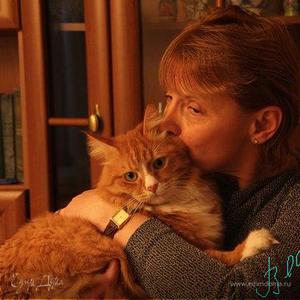 Фотография профиля