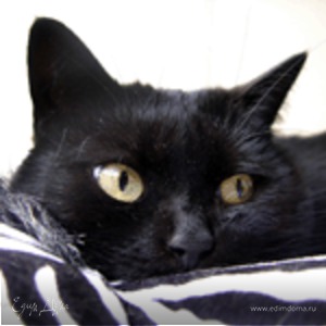 Фотография профиля