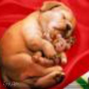 Фотография профиля