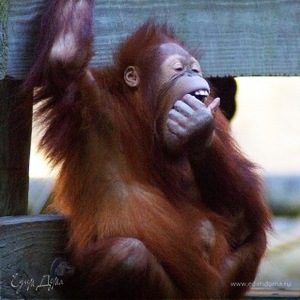 Фотография профиля