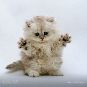 Фотография профиля