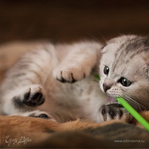 Фотография профиля