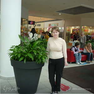 Фотография профиля