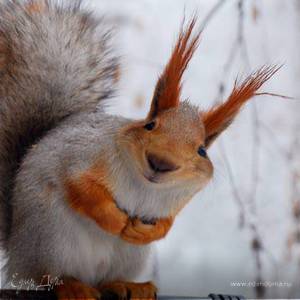 Фотография профиля