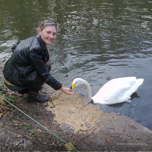 Фотография профиля