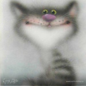 Фотография профиля