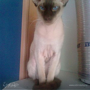 Фотография профиля