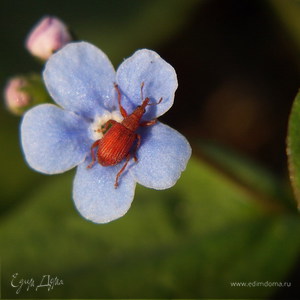 Фотография профиля