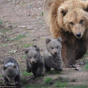 Фотография профиля