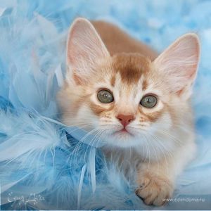 Фотография профиля