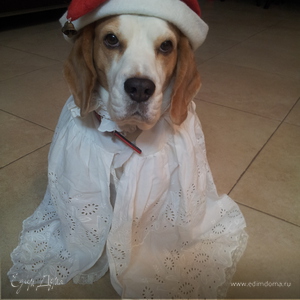 Фотография профиля