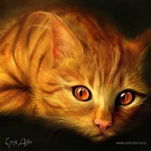 Фотография профиля