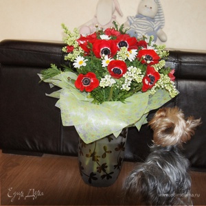 Фотография профиля