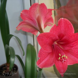 Фотография профиля