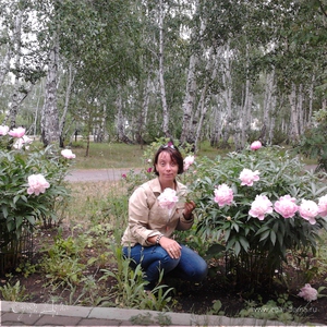 Фотография профиля