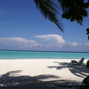 Фотография профиля