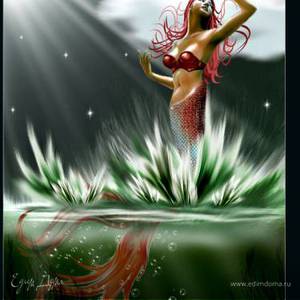 Фотография профиля