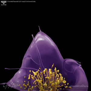 Фотография профиля