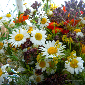 Фотография профиля