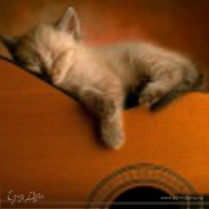 Фотография профиля