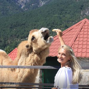 Фотография профиля