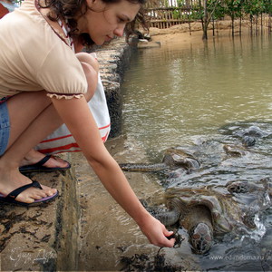 Фотография профиля