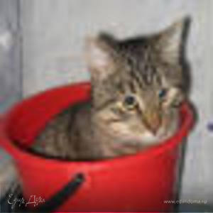 Фотография профиля