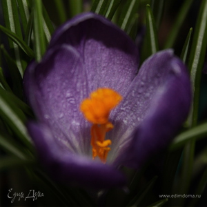 Фотография профиля