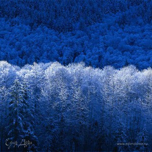 Фотография профиля