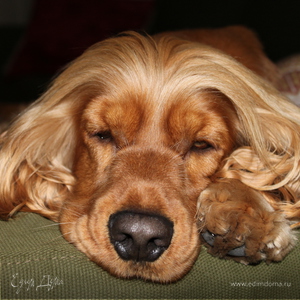 Фотография профиля