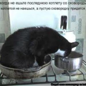 Фотография профиля