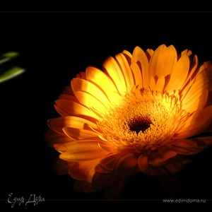 Фотография профиля