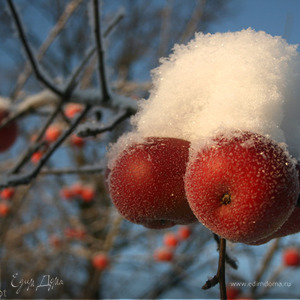 Фотография профиля