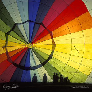 Фотография профиля