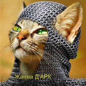 Фотография профиля