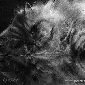 Фотография профиля