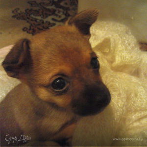 Фотография профиля