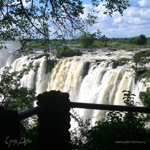 Фотография профиля