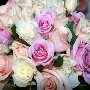 Фотография профиля