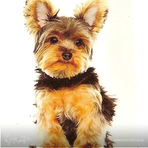 Фотография профиля