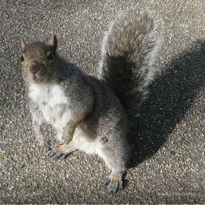 Фотография профиля