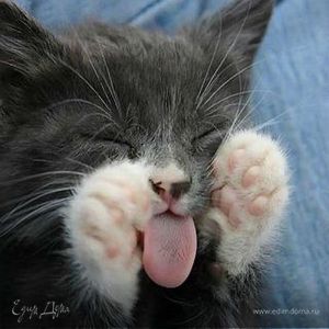 Фотография профиля