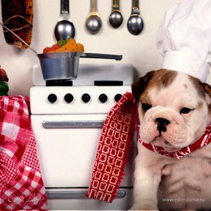 Фотография профиля