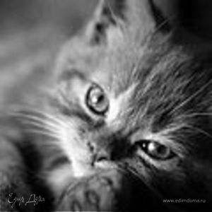 Фотография профиля