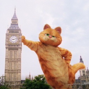 Фотография профиля